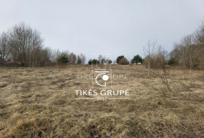 Parduodamas  sklypas Ruslių k., Klaipėdos r. sav., 11 a ploto 3