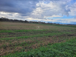 Parduodamas  sklypas Drevernos k., Klaipėdos r. sav., 50 a ploto 6