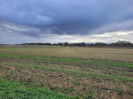 Parduodamas  sklypas Drevernos k., Klaipėdos r. sav., 50 a ploto 10