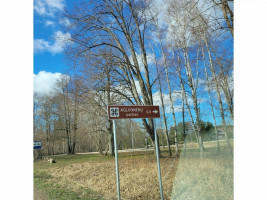 Parduodamas  sklypas Ievos Simonaitytės g., Agluonėnų k., Klaipėdos r. sav., 23 a ploto 4