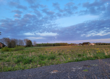 Parduodamas  sklypas Darbėnų pl., Kurmaičių k., Kretingos r. sav., 50 a ploto