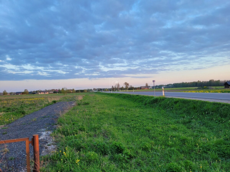 Parduodamas  sklypas Darbėnų pl., Kurmaičių k., Kretingos r. sav., 50 a ploto 4