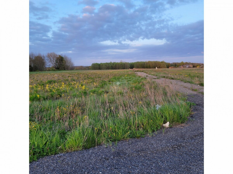 Parduodamas sklypas Darbėnų pl., Kurmaičių k., Kretingos r. sav., 50 a ploto 5