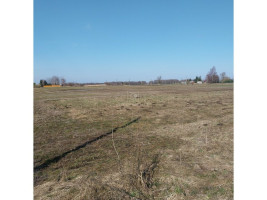 Parduodamas  sklypas Agluonėnų k., Klaipėdos r. sav., 45 a ploto 2