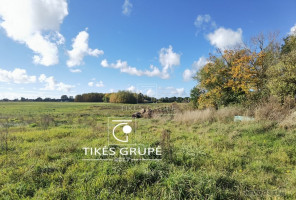 Parduodamas  sklypas Šturmų k., Šilutės r. sav., 516 a ploto 4
