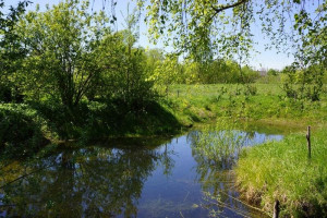 Parduodamas namas Pavytinės k., Ukmergės r. sav., 66.68 m² ploto 3 kambariai 8