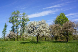 Parduodamas namas Pavytinės k., Ukmergės r. sav., 66.68 m² ploto 3 kambariai 10