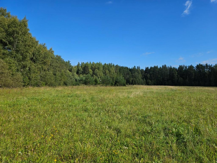 Parduodamas sklypas Ažuraisčio vs., Utenos r. sav., 113 a ploto 3