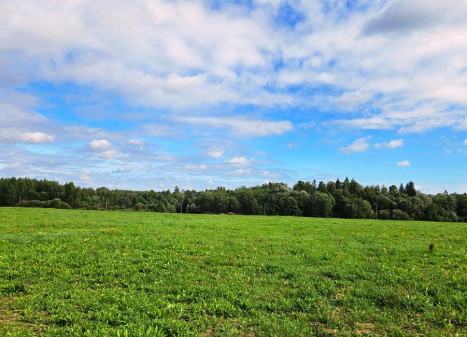 Parduodamas sklypas Bėdžių k., Utenos r. sav., 195 a ploto