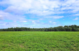Parduodamas sklypas Bėdžių k., Utenos r. sav., 195 a ploto 2