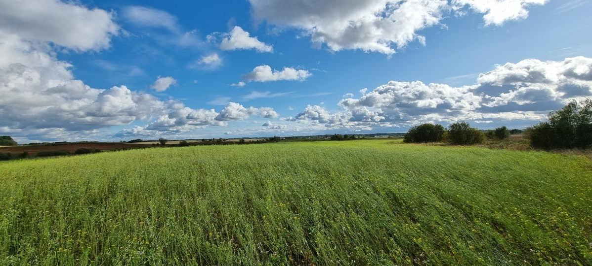 Parduodamas sklypas Maišiagalos mstl., Vilniaus r. sav., 110.00 a ploto 1