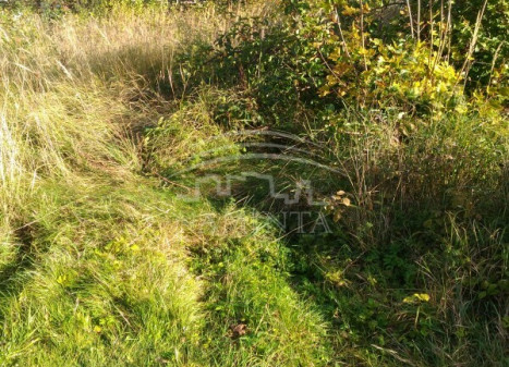 Parduodamas  sklypas Kiškėnų k., Klaipėdos r. sav., 6 a ploto