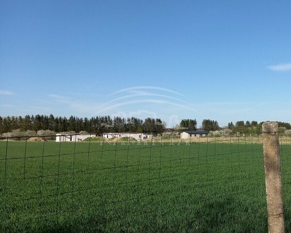 Parduodamas  sklypas Kluonalių k., Kretingos r. sav., 96 a ploto 1