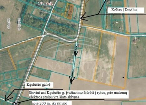 Parduodamas sklypas Ruslių k., Klaipėdos r. sav., 62 a ploto Parduodamas sklypas Ruslių k., Klaipėdos r. sav., 62 a ploto