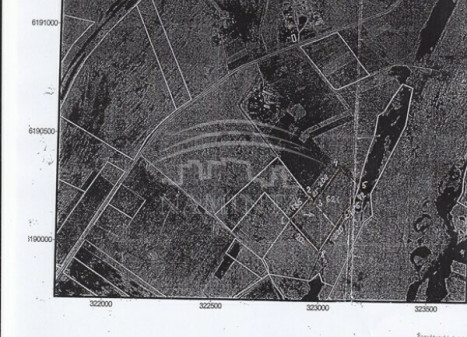 Parduodamas  sklypas Stančių k., Klaipėdos r. sav., 470 a ploto
