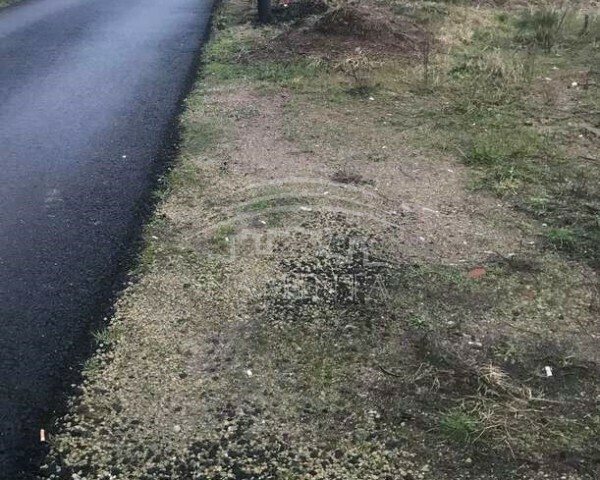 Parduodamas sklypas Dituvos k., Klaipėdos r. sav., 7 a ploto 1