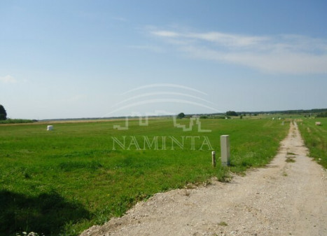 Parduodamas  sklypas Pangesų k., Klaipėdos r. sav., 24 a ploto