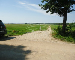 Parduodamas  sklypas Pangesų k., Klaipėdos r. sav., 24 a ploto 2