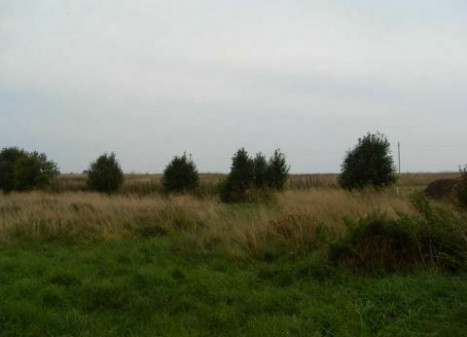 Parduodamas  sklypas Kuodžių k., Klaipėdos r. sav., 90 a ploto