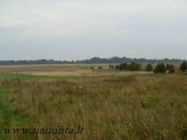 Parduodamas  sklypas Kuodžių k., Klaipėdos r. sav., 90 a ploto 3