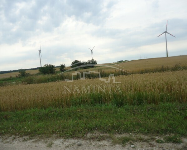 Parduodamas sklypas Kvecių k., Kretingos r. sav., 1100 a ploto 6
