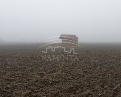 Parduodamas  sklypas Baukštininkų k., Klaipėdos r. sav., 110 a ploto 2