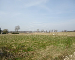 Parduodamas  sklypas Girininkų k., Klaipėdos r. sav., 60 a ploto 4