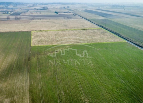 Parduodamas  sklypas Pjaulių k., Klaipėdos r. sav., 210 a ploto