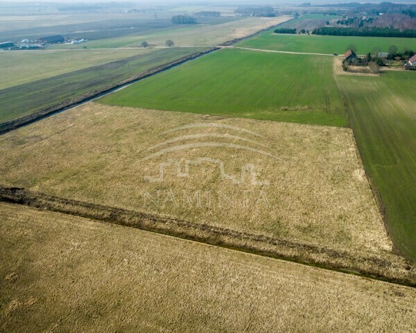 Parduodamas sklypas Pjaulių k., Klaipėdos r. sav., 210 a ploto 2