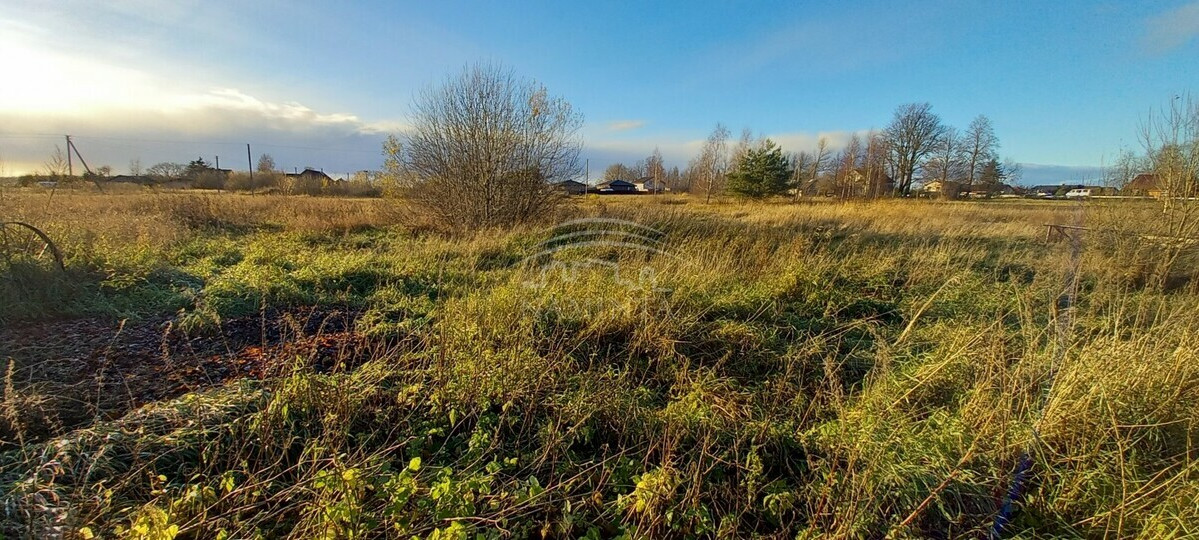 Parduodamas sklypas Šlapšilės k., Klaipėdos r. sav., 8 a ploto 2