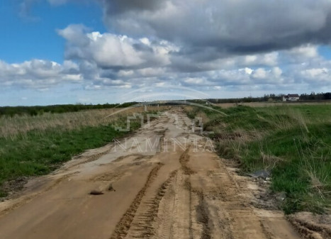 Parduodamas  sklypas Dovilų mstl., Klaipėdos r. sav., 10 a ploto