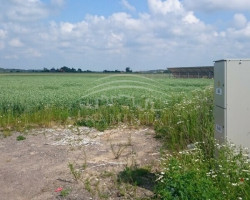 Parduodamas  sklypas Pipirų k., Klaipėdos r. sav., 75 a ploto 1