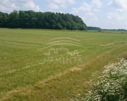 Parduodamas  sklypas Pipirų k., Klaipėdos r. sav., 75 a ploto 6