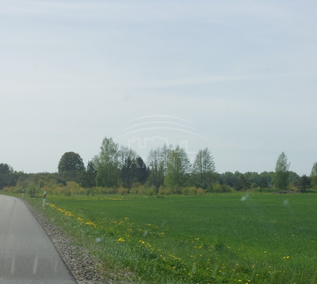 Parduodamas  sklypas Kisinių k., Klaipėdos r. sav., 117 a ploto 3