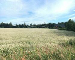 Parduodamas  sklypas Juodikių k., Klaipėdos r. sav., 11 a ploto 3