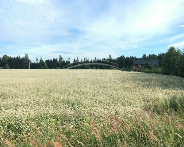 Parduodamas sklypas Juodikių k., Klaipėdos r. sav., 11 a ploto 3