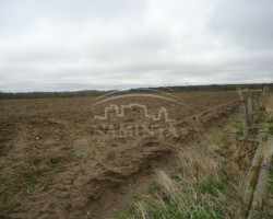 Parduodamas  sklypas Dovilų mstl., Klaipėdos r. sav., 90 a ploto 4