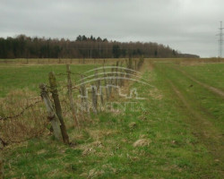 Parduodamas  sklypas Dovilų mstl., Klaipėdos r. sav., 90 a ploto 7