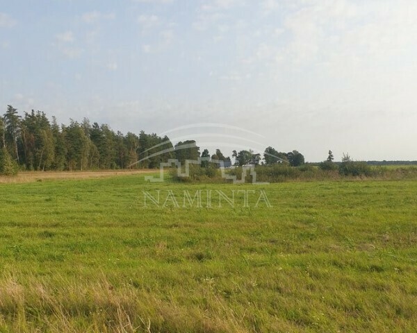 Parduodamas  sklypas Juodikių k., Klaipėdos r. sav., 18 a ploto 7