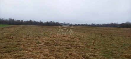 Parduodamas  sklypas Pažvelsio k., Klaipėdos r. sav., 700 a ploto 1