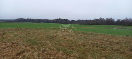 Parduodamas  sklypas Pažvelsio k., Klaipėdos r. sav., 700 a ploto 2