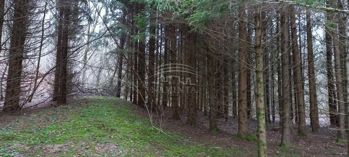 Parduodamas sklypas Pažvelsio k., Klaipėdos r. sav., 700 a ploto 3