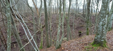 Parduodamas  sklypas Pažvelsio k., Klaipėdos r. sav., 700 a ploto 5