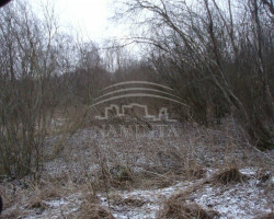 Parduodamas  sklypas Tarvydų k., Kretingos r. sav., 74 a ploto 4