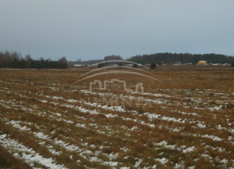 Parduodamas  sklypas Pozingių k., Klaipėdos r. sav., 417 a ploto