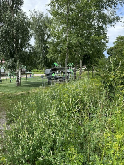 Parduodamas sklypas Dituvos k., Klaipėdos r. sav., 17 a ploto 2