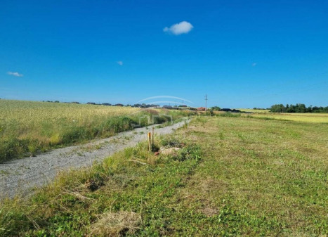 Parduodamas  sklypas Stančių k., Klaipėdos r. sav., 12 a ploto