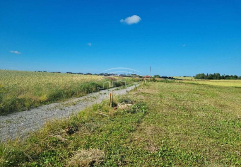 Parduodamas sklypas Stančių k., Klaipėdos r. sav., 12 a ploto 1