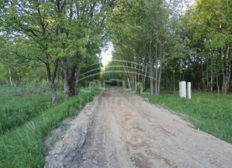 Parduodamas  sklypas Šaipių k., Klaipėdos r. sav., 230 a ploto