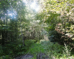 Parduodamas  sklypas Šaipių k., Klaipėdos r. sav., 230 a ploto 2